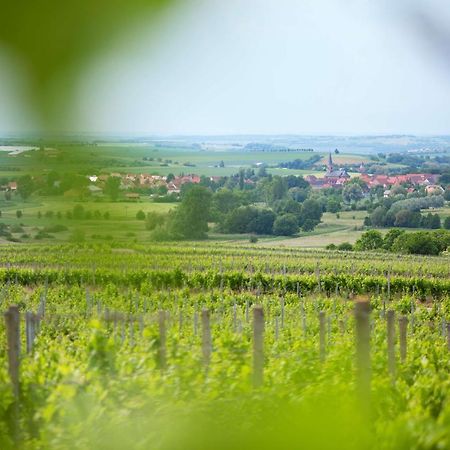 Hotel Weingut Schilling à Seinsheim Extérieur photo